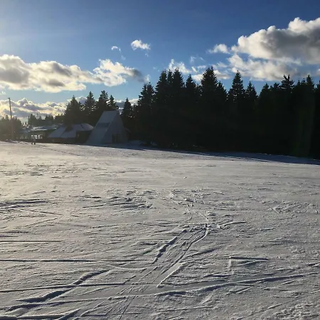 Lejlighed Apartma Rogla - Gaber 98 Resnik