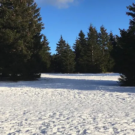 Apartma Rogla - Gaber 98 Apartman *